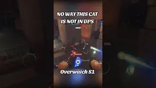 Думаю, разработчики ошиблись. lol! #fyp #overwatch #jetpackcat