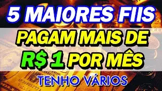 5 MAIORES FIIS QUE PAGAM MAIS DE 1 REAL DE DIVIDENDOS POR M&Ecirc;S