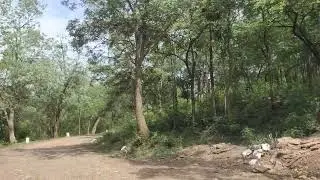 mamanduru forest Thirupathi | muthahar media