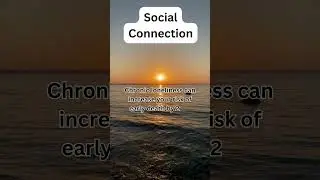 Did You Know? The Untold Truth About Social Connection #facts #shorts #nextlevel #socialconnection
