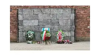 Auschwitz, Poland. A Day I Will Never Forget. 