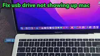 USB drive not showing files and folders mac