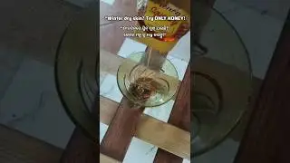 Secret to Glowing Skin &ndash; Honey Face Pack ✨Honey Face Pack for Glowing Skin 🍯#shorts #youtubeshorts