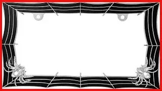 How to Upgrade Your Ride with a Durable Chrome License Plate Frame