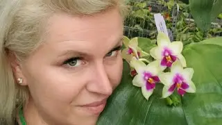 BREDREN ORCHIDS GREENHOUSE. www.bredrenorchids.com.    August 7, 2022