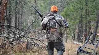 WYOMING BLACK HILLS DEER HUNT