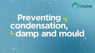 How to prevent condensation dampness and mould   Craigdale