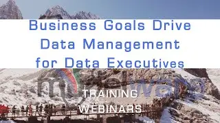 Business Goals Drive Data Management for Data Executives