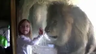 the glass wasnt strong enough