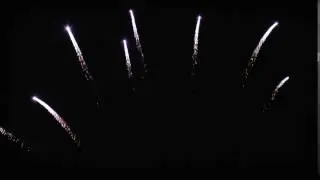 Silver tail (RC30-9-3) ряд