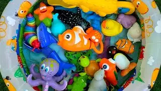 OCEAN ANIMALS: NAMES & FACTS WITH TOYS! AMAZING SEA CREATURES: TOY LEARNING FOR PRESCHOOLERS