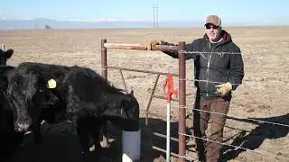 K2 Angus Ranch