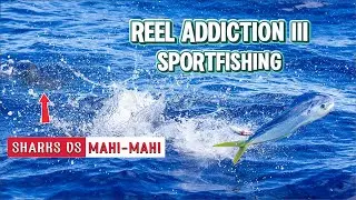Battling Sharks & Landing Mahi at the Offshore FAD | Reel Addiction III Sportfishing