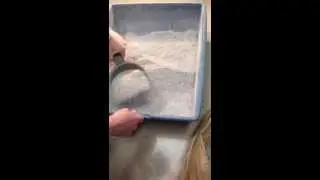 The Wonder Scooper - the ultimate cat litter scooper!