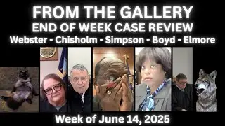 Upset Judges & Serial Sov Cits - Ep. 64 -  Live From The Gallery 06/14/25