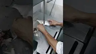 super fresh giant River datinna fish just cutting skills video #youtube #shortvideo #shorts #video