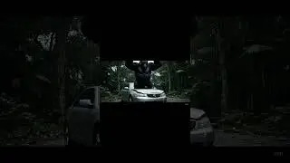 Gorilla Jumps on a Car!