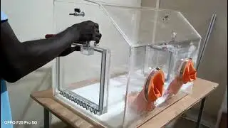 Transparent Acrylic Material Bench-Top Acrylic Glove Vacuum Box For Chemistry Laboratory