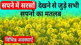 Sapne me sarso ka khet dekhna | Seeing Mustard crop in dream | Sarso ka sapna dekhna