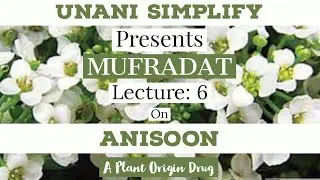 ANISOON | ANISE | PLANT ORIGIN DRUG | MUFRADAT | 2nd Prof. B.U.M.S  |FULL DETAIL | CCIM |SYLLABUS