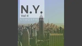 N.Y. Atmosphere