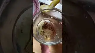 Mango seed germination process