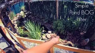 I Made A Bog Filter For My Koi Pond