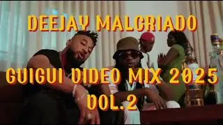 GUIGUI VIDEO MIX | VOL.2 | NOVA GERAÇÃO | 2025 @deejaymalcriado90 @memusunhu
