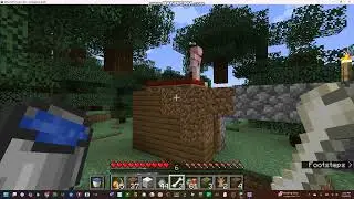 How to play minecraft with AI player2 tutorial -- Digitalious 8