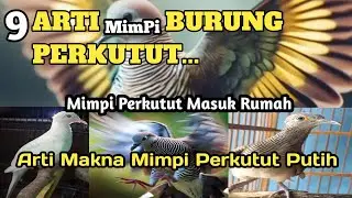9 ARTI MIMPI TENTANG BURUNG PERKUTUT