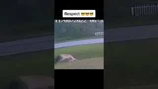 What amazing