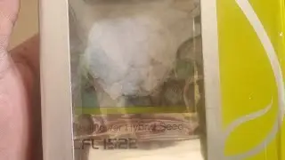 syngenta cfl 1522 & bc79 seeds information