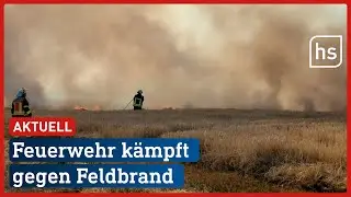 Feld bei Weiterstadt in Flammen | hessenschau
