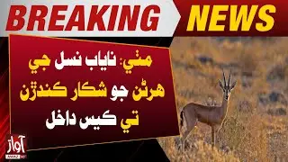 Mithi: Case Registered Against Hunters of Rare Deer Species | Breaking News | Awaz Tv News
