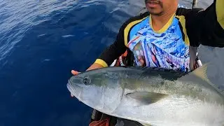 Pesca en Kayak palometa (vidriola) (kingfish) (seriola lalandi)