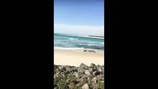 Gorgeous day in Bulcock Beach