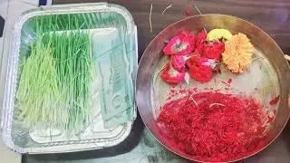 Dashain Tihar Memories | Festival Vibes with Family & Friends #flowers#colors #festival #memories.