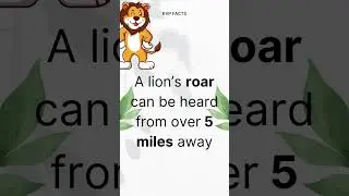 KNOW ABOUT THE KING OF FOREST HERE ! ITS AMAZING