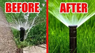 Sprinkler Repair & Inspection with Top Lawn Pros &ndash; What to Expect | Brandon Fl | Valrico Fl