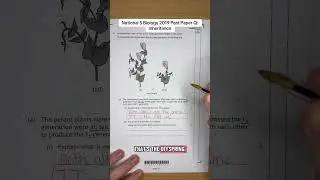 National 5 Biology 2019 Past Paper Q: Inheritance