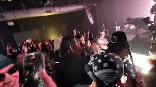 indie tribe Plays 