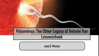 Polyamines: The Other Legacy of Antonie Van Leeuwenhoek