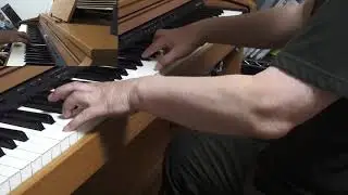 The Fool On The Hill  (THE BAETLES ) cover