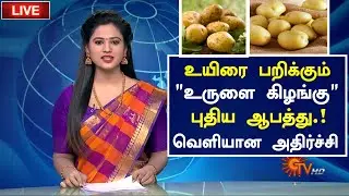 உயிரை பறிக்கும் உருளைக கிழங்கு! | Are Green Potatoes Poisonous? | Potato Arm| Health Tips in Tamil