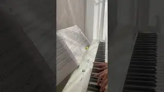 Beginner Piano practice ~ Alexandra Streliski, Plus T&ocirc;t #piano #learning #beginner #practice #music