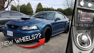 My Newedge Gets a Crazy New Wheel Setup! + New Double Din Radio