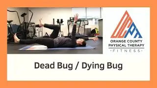Dead Bug to Dying Bug Exercise (Orange County Physical Therapy OCPT)