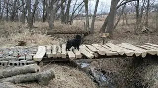 DIY Bridge Build for Cheap