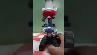 #toy microscope 🔬 #just for fun#shorts