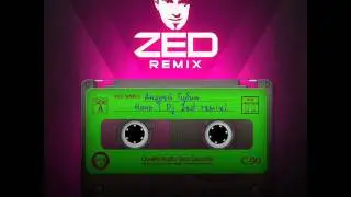 Андрей Губин - Ночь (DJ Zed Remix)